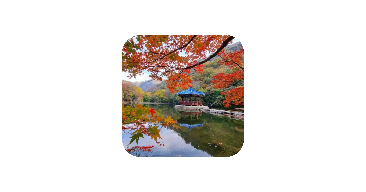 공유 카드