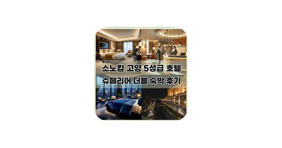 공유 카드