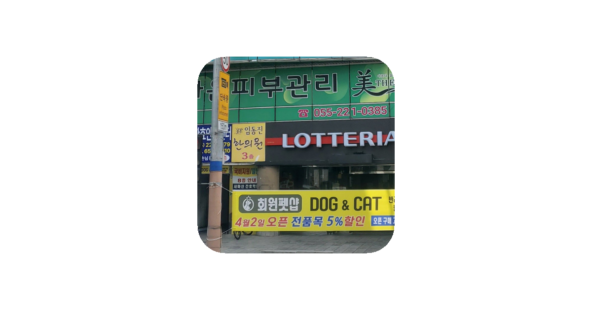 공유 카드