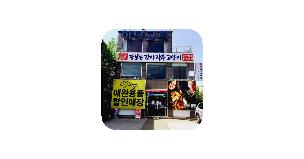 공유 카드