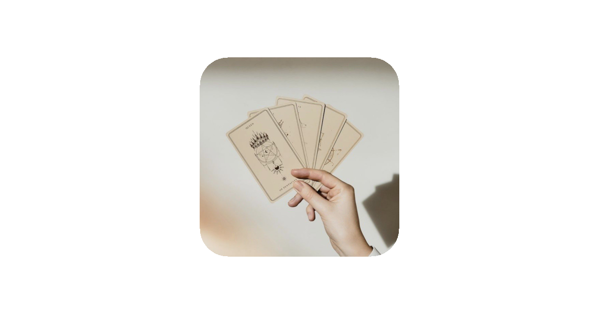 공유 카드