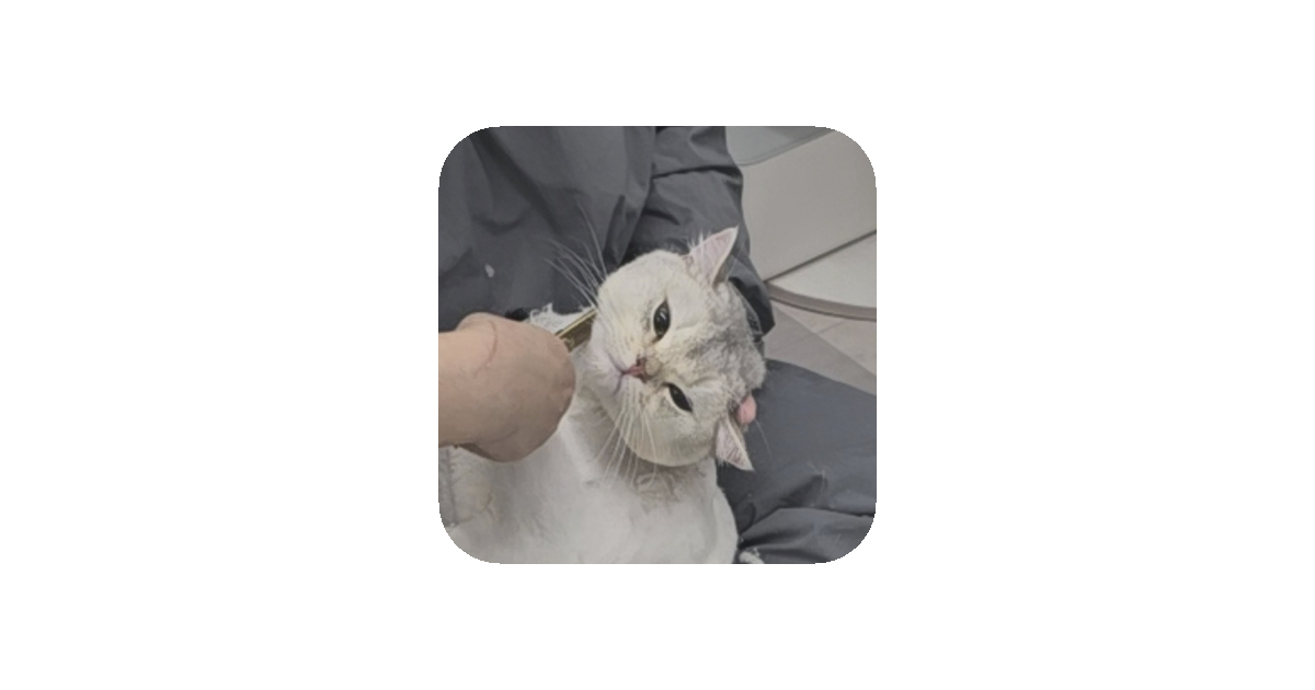 공유 카드