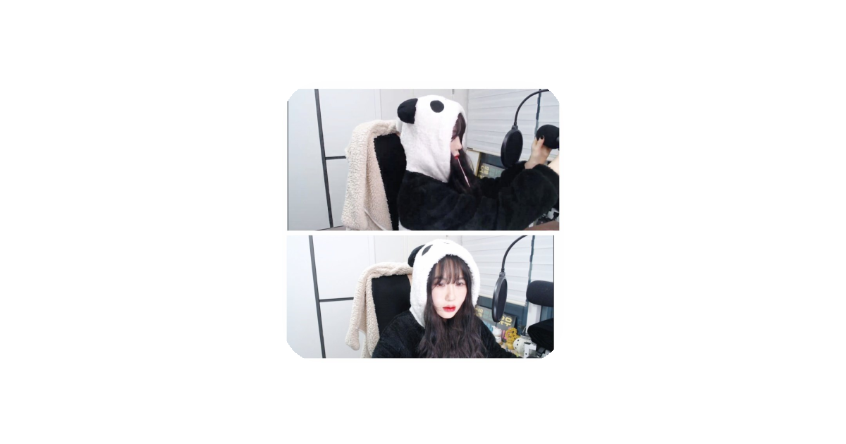 공유 카드