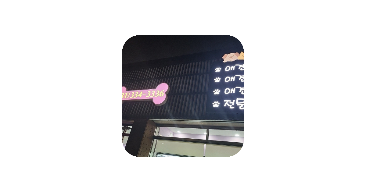 공유 카드
