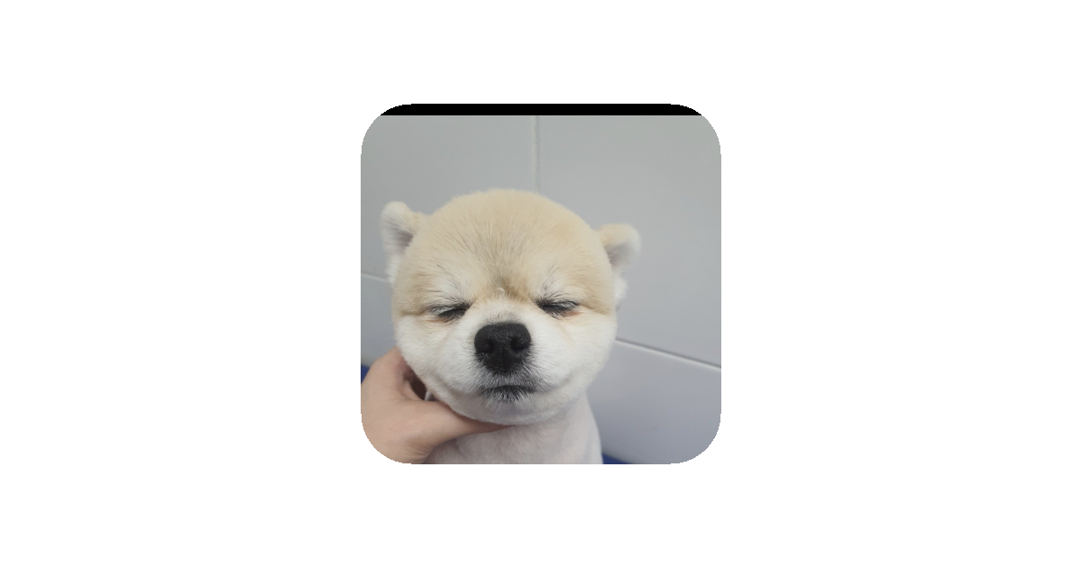 공유 카드