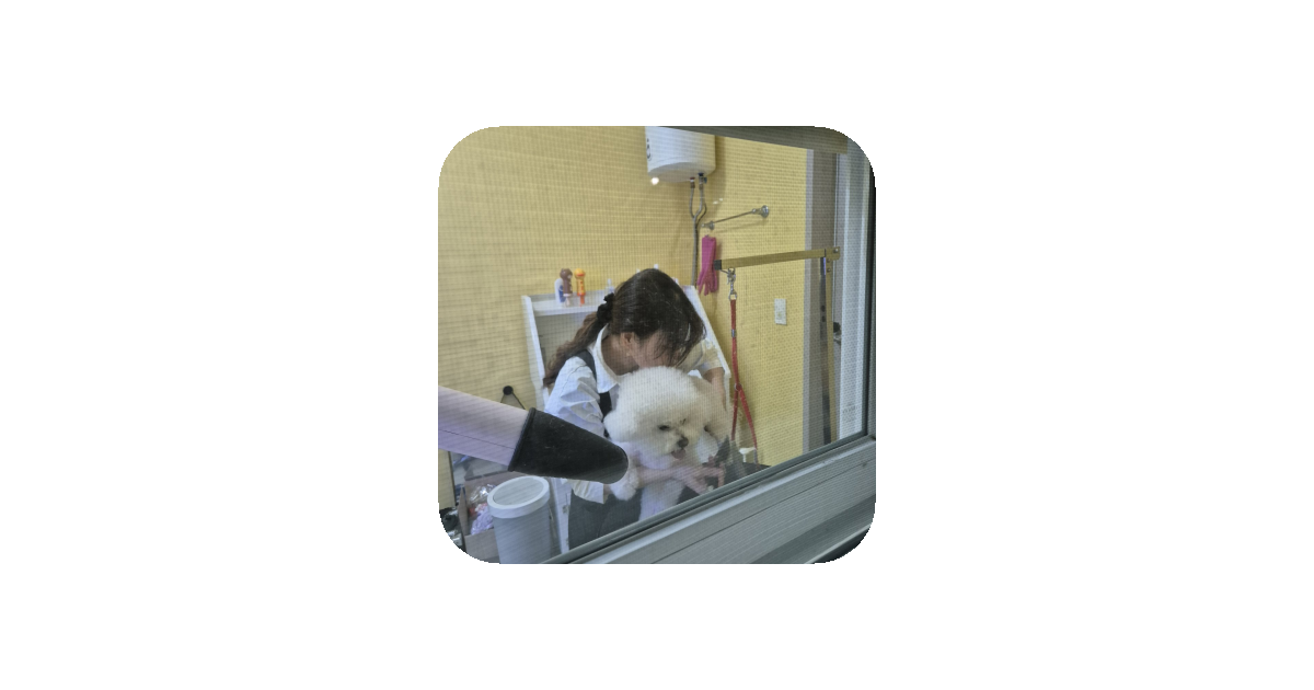 공유 카드