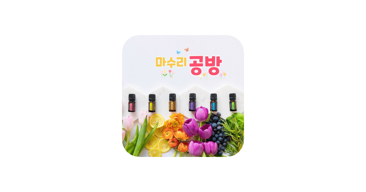 공유 카드