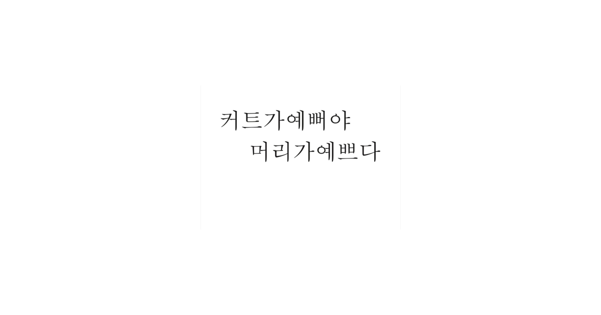 공유 카드