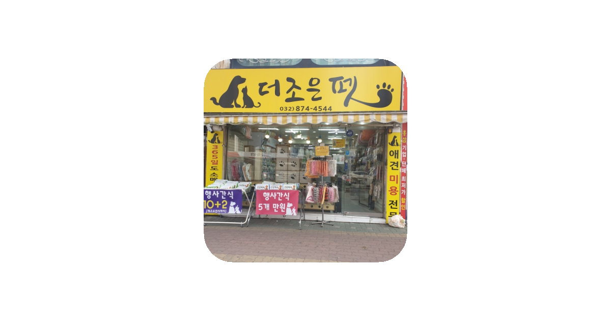공유 카드