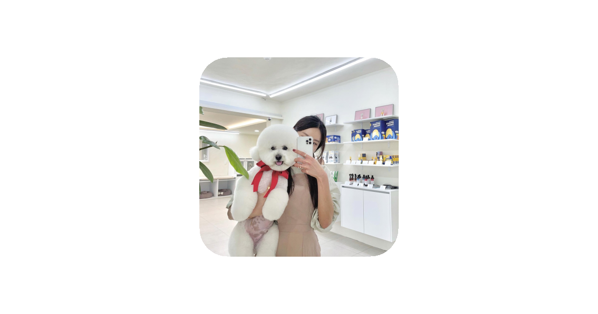 공유 카드