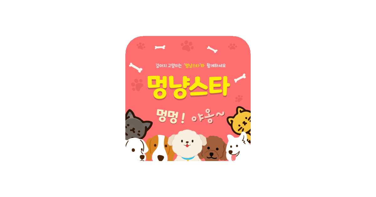 공유 카드