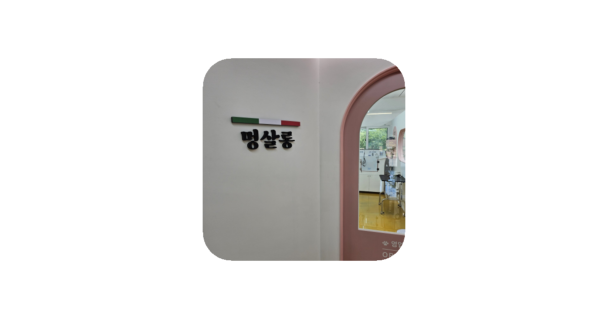 공유 카드