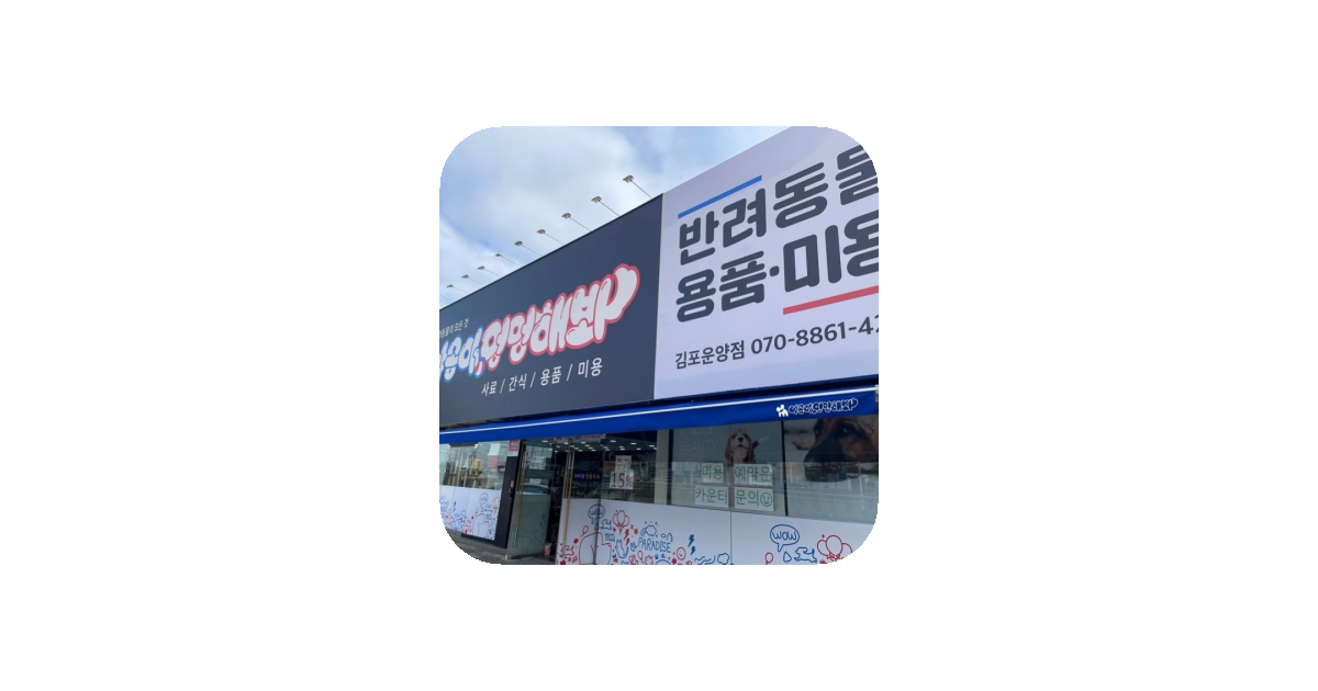 공유 카드