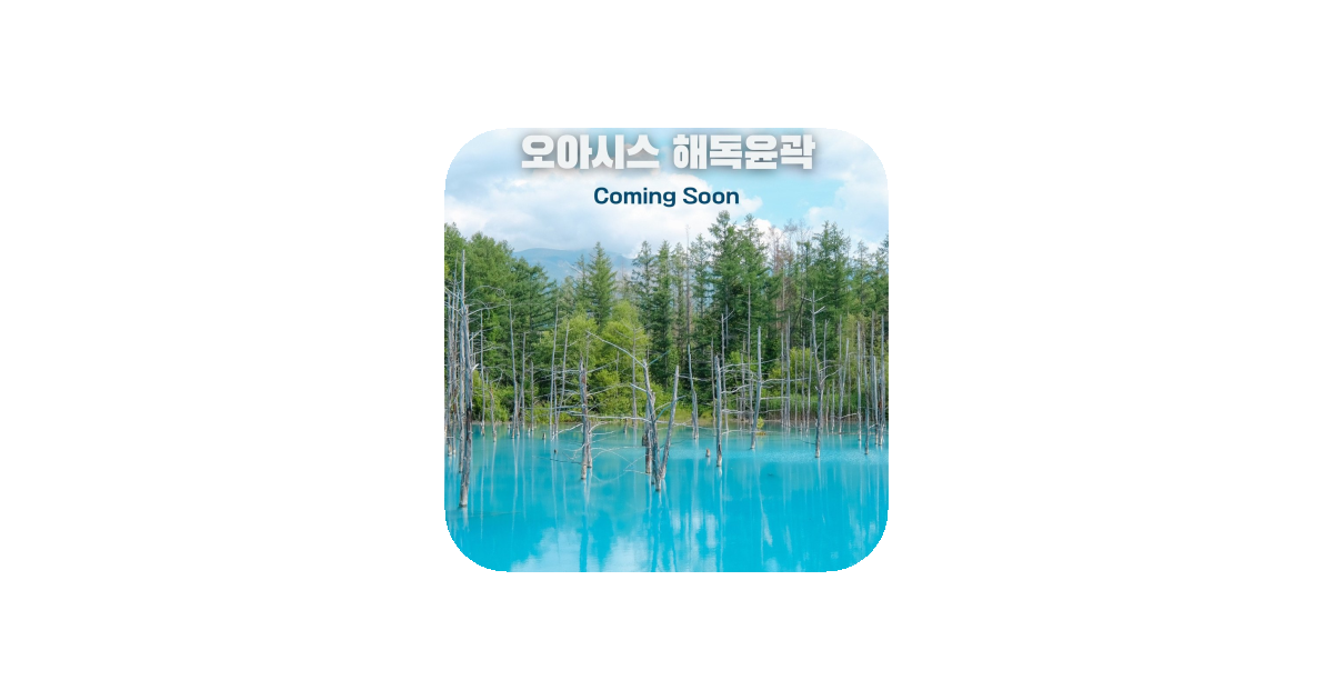 공유 카드