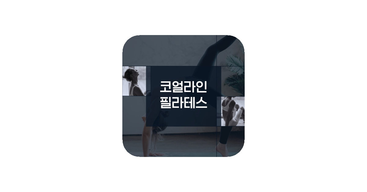 공유 카드