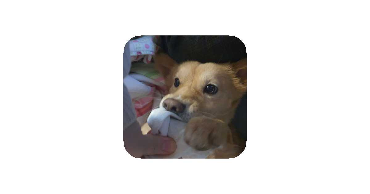 공유 카드