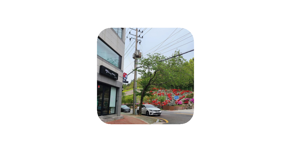 공유 카드