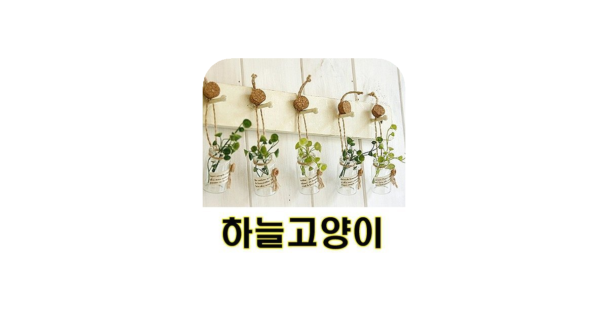 공유 카드