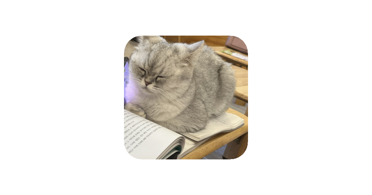 공유 카드