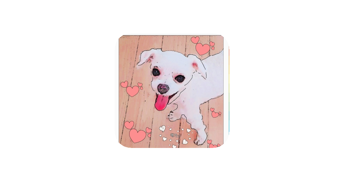 공유 카드