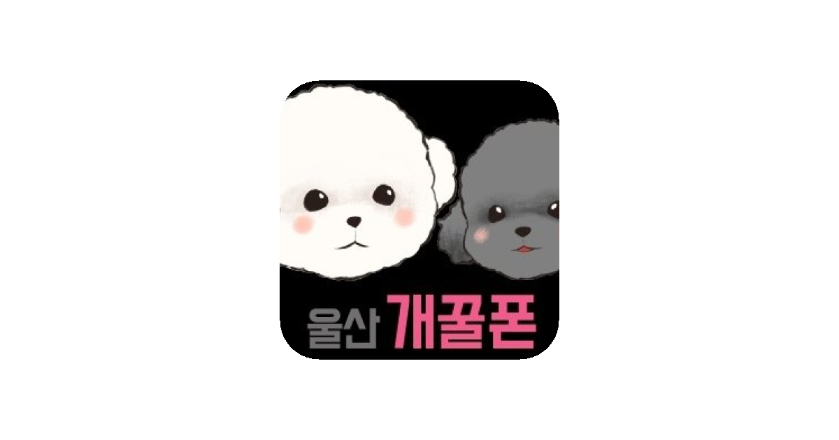 공유 카드
