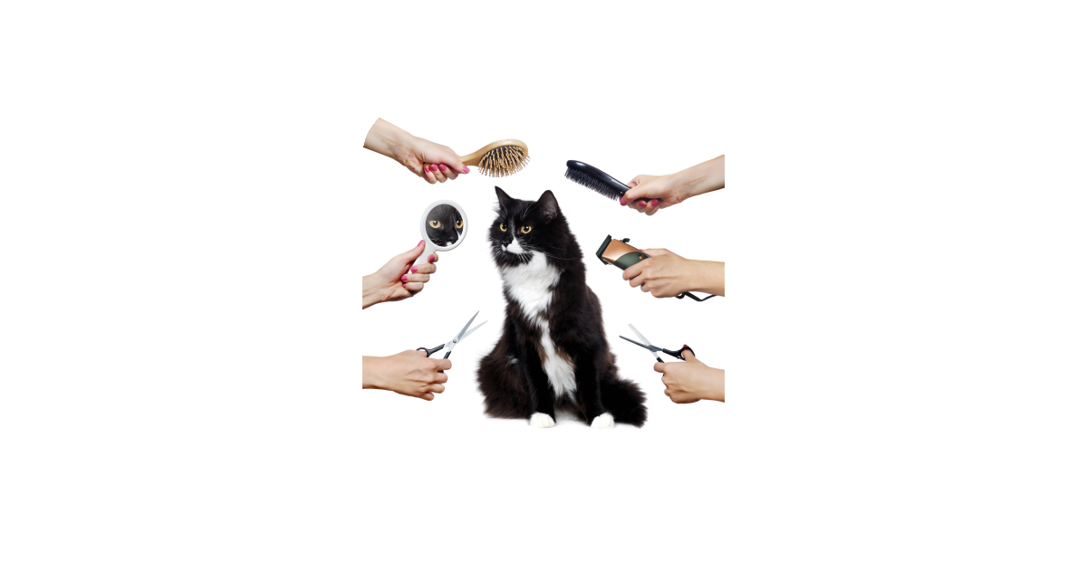 공유 카드