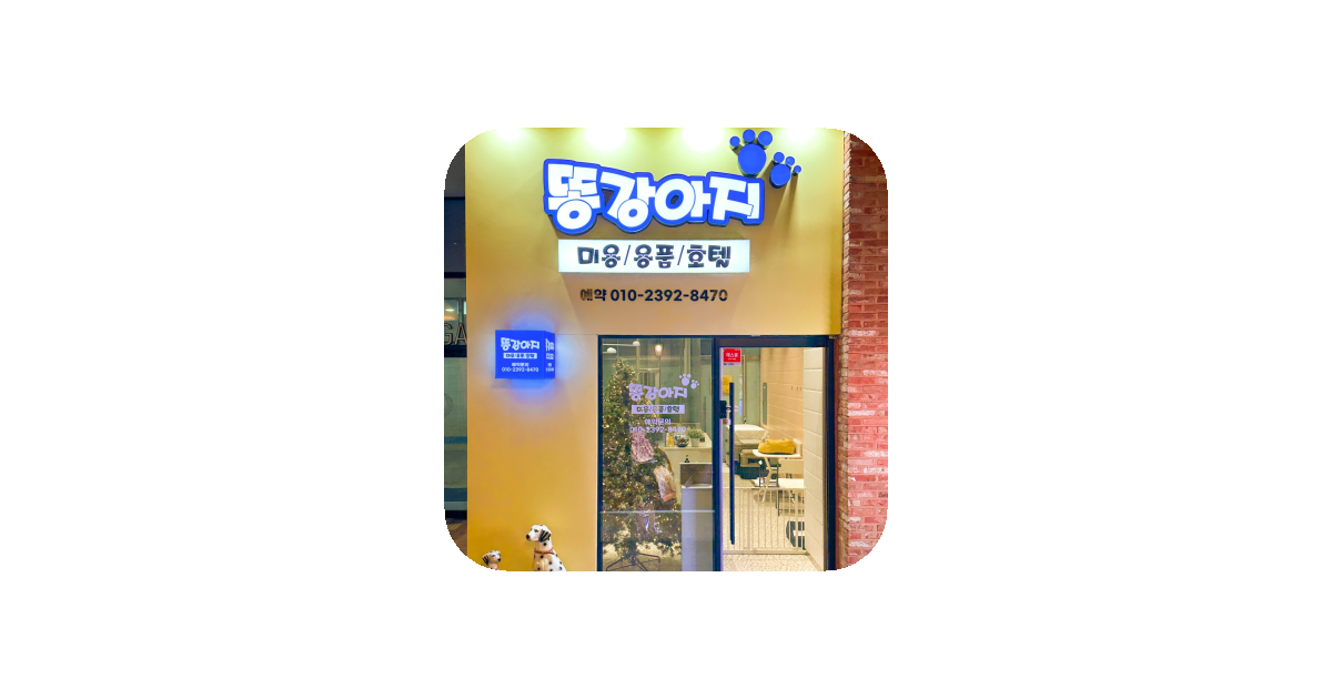 공유 카드