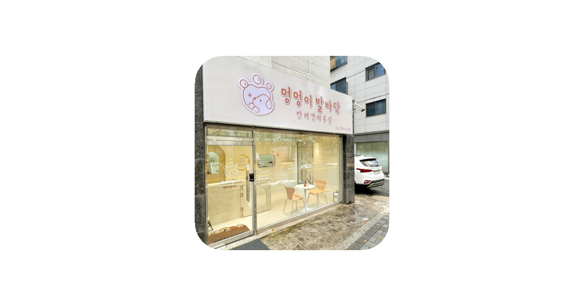 공유 카드