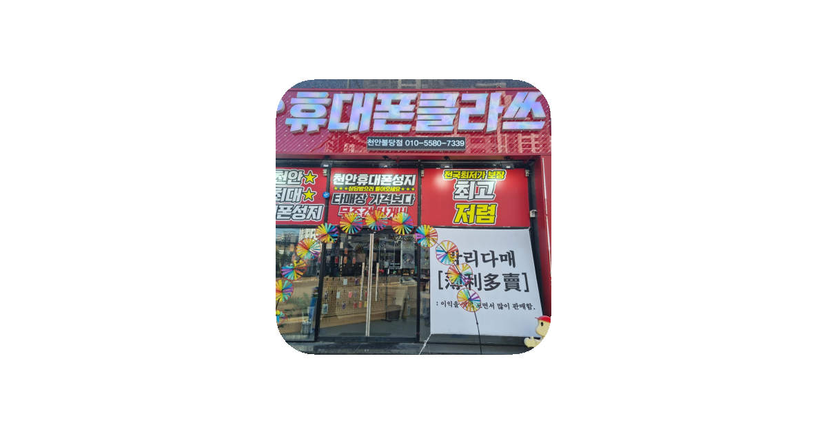 공유 카드