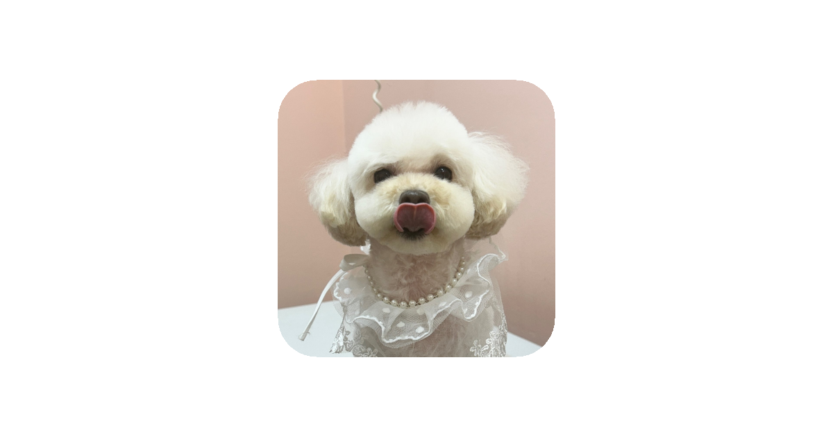 공유 카드
