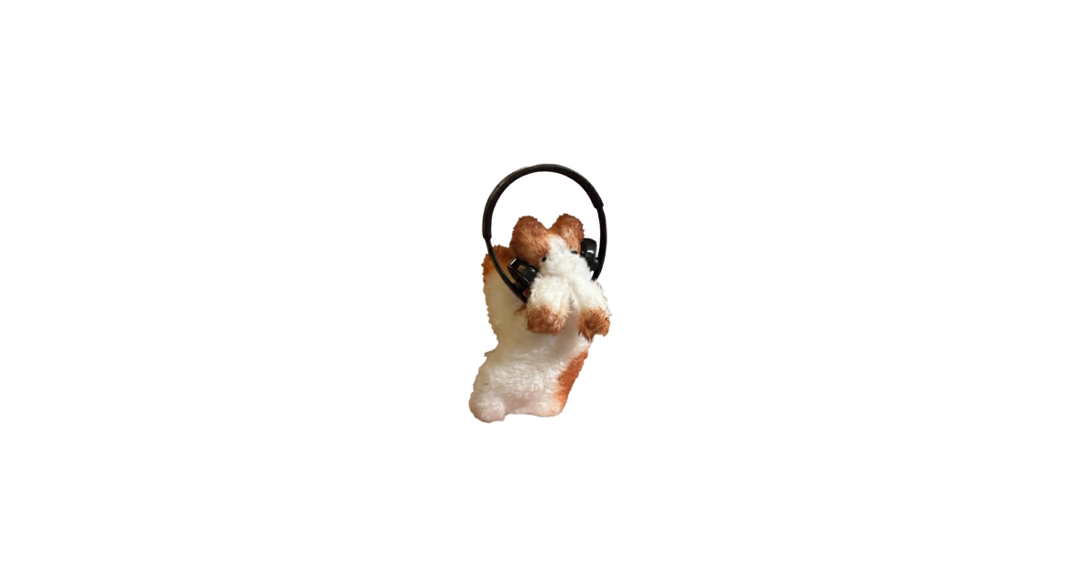 공유 카드