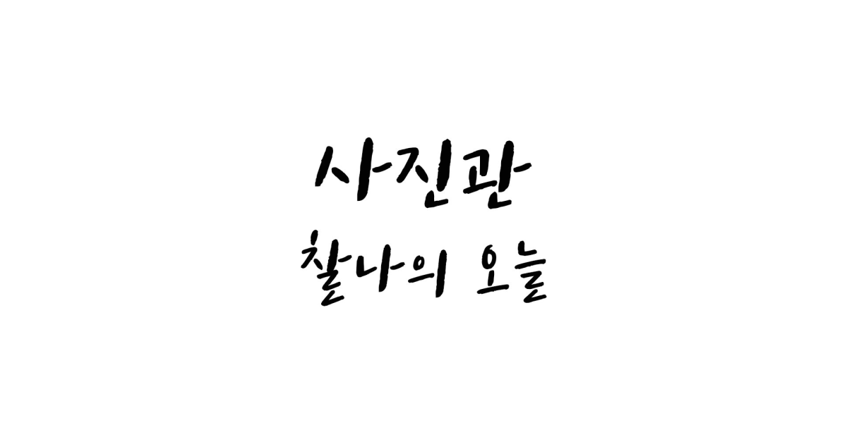 공유 카드