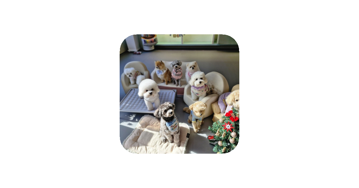공유 카드