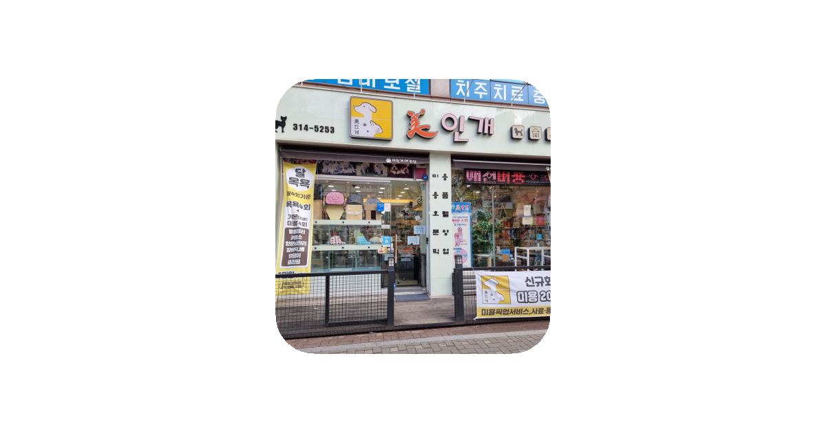 공유 카드