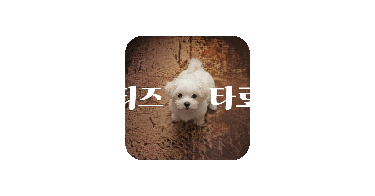 공유 카드
