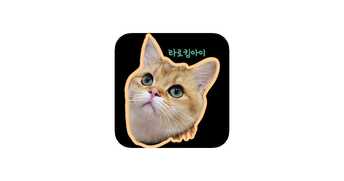 공유 카드