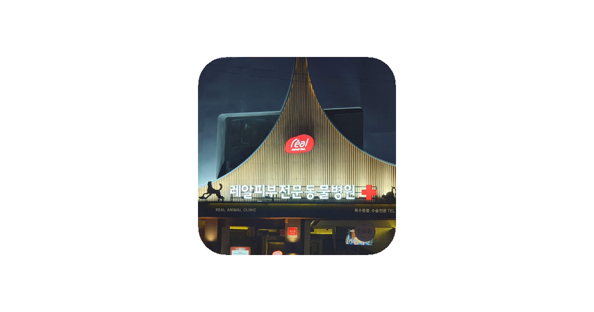 공유 카드