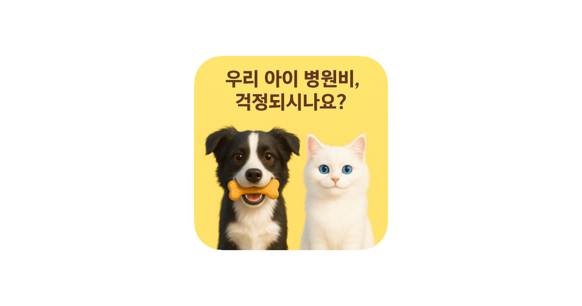 공유 카드