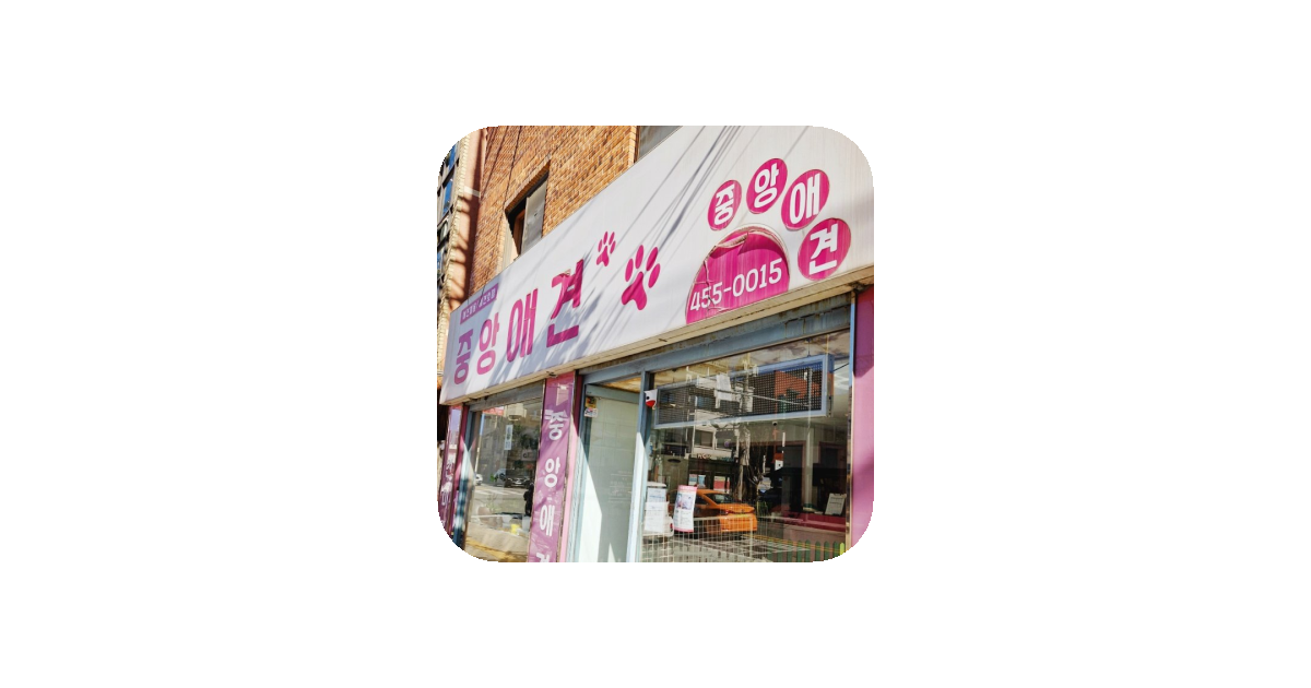 공유 카드