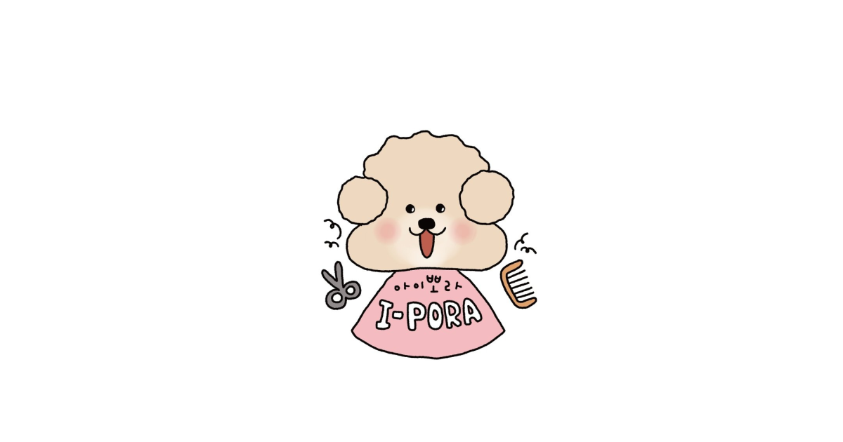 공유 카드