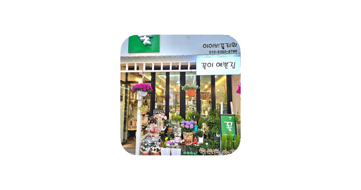 공유 카드