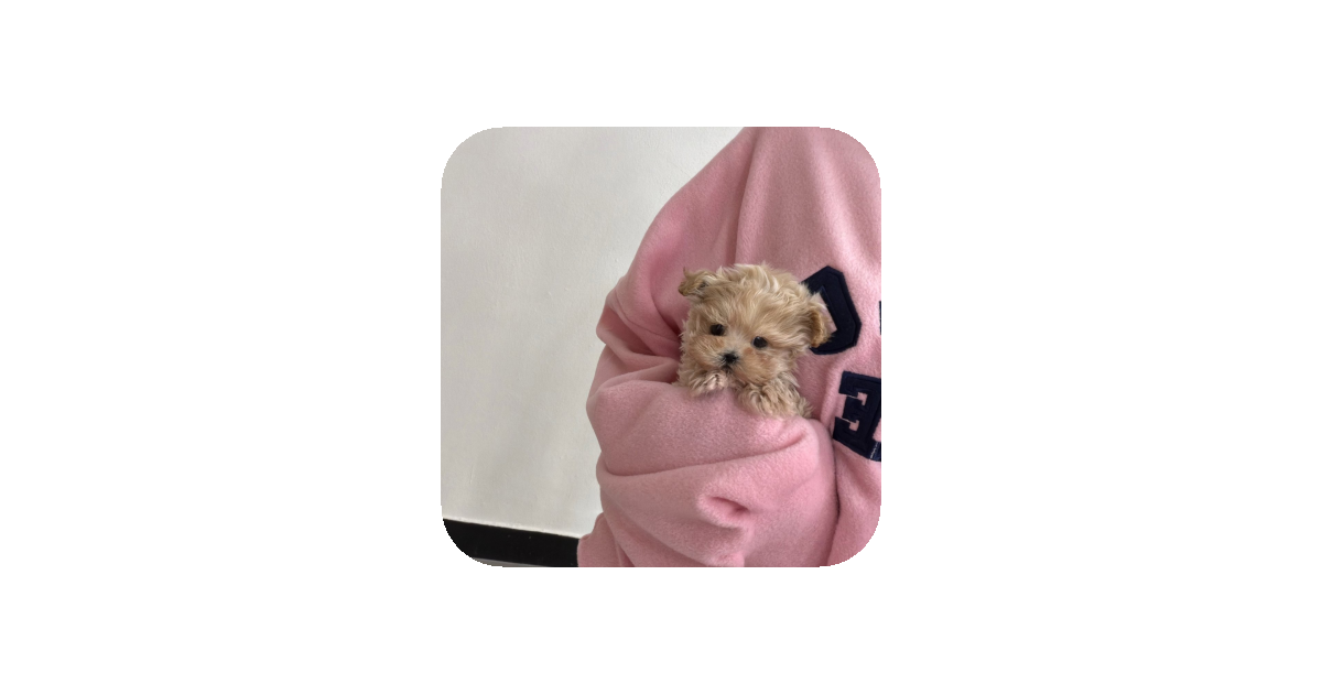 공유 카드