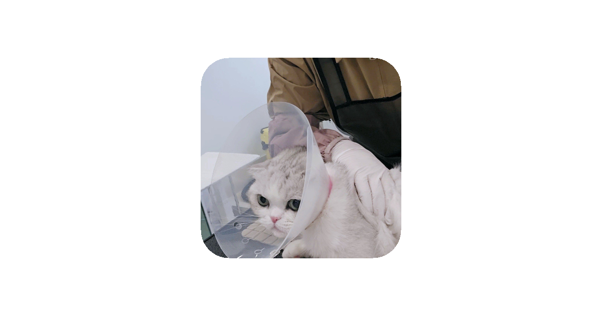 공유 카드