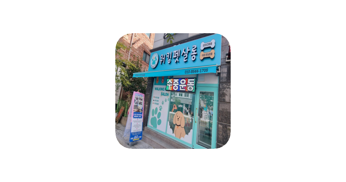 공유 카드