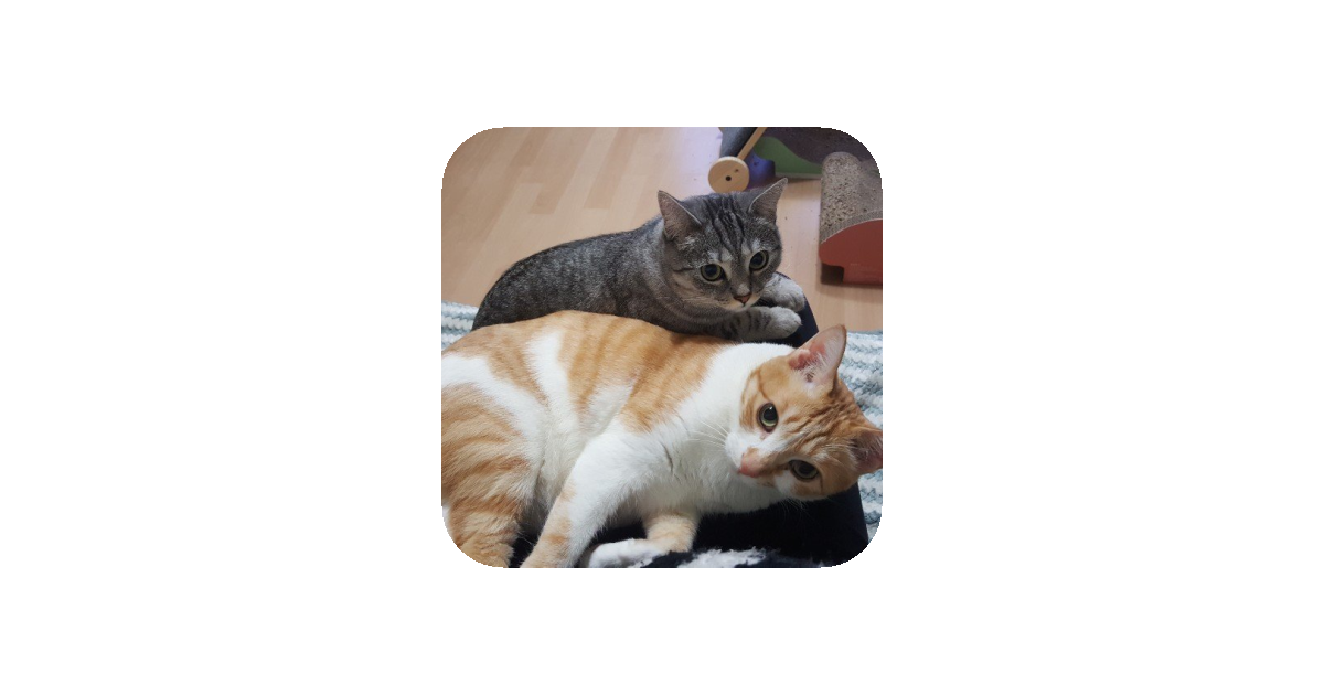 공유 카드