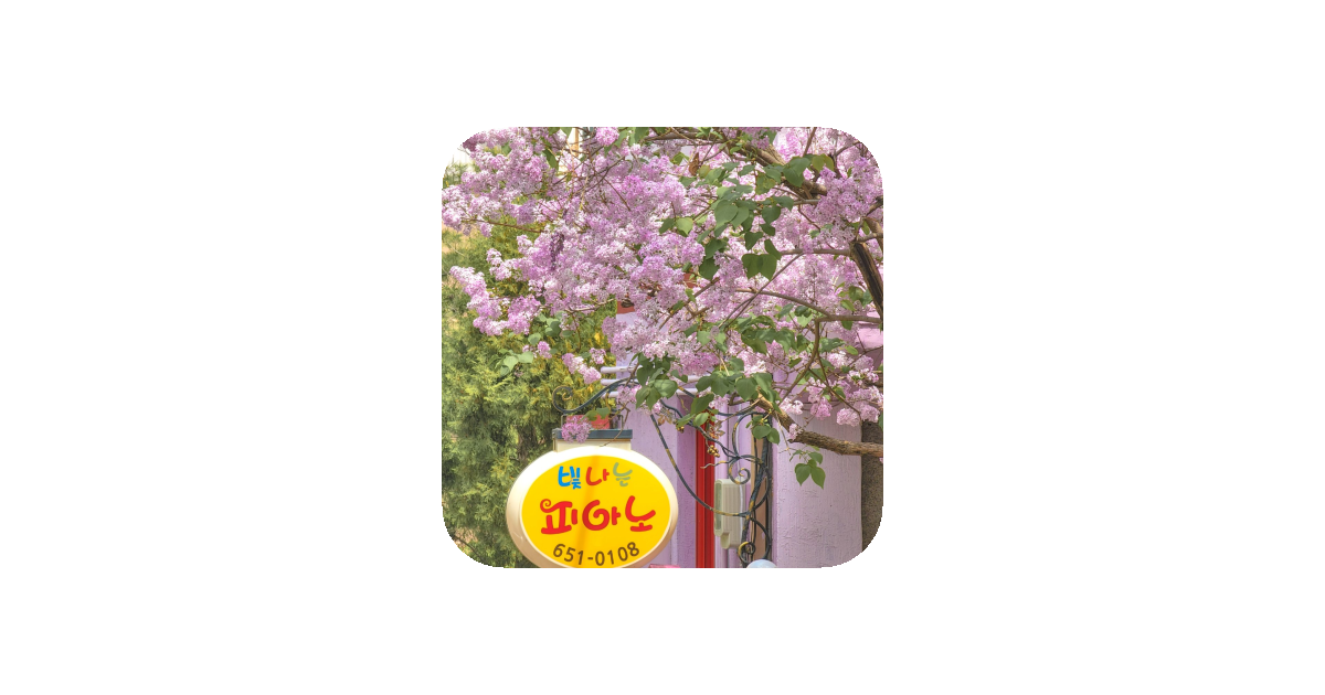 공유 카드