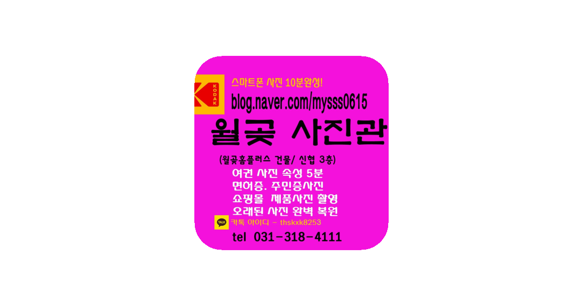 공유 카드