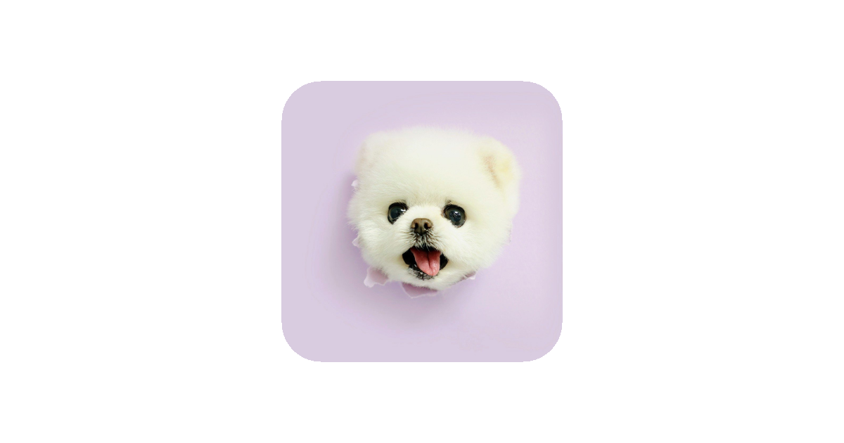 공유 카드