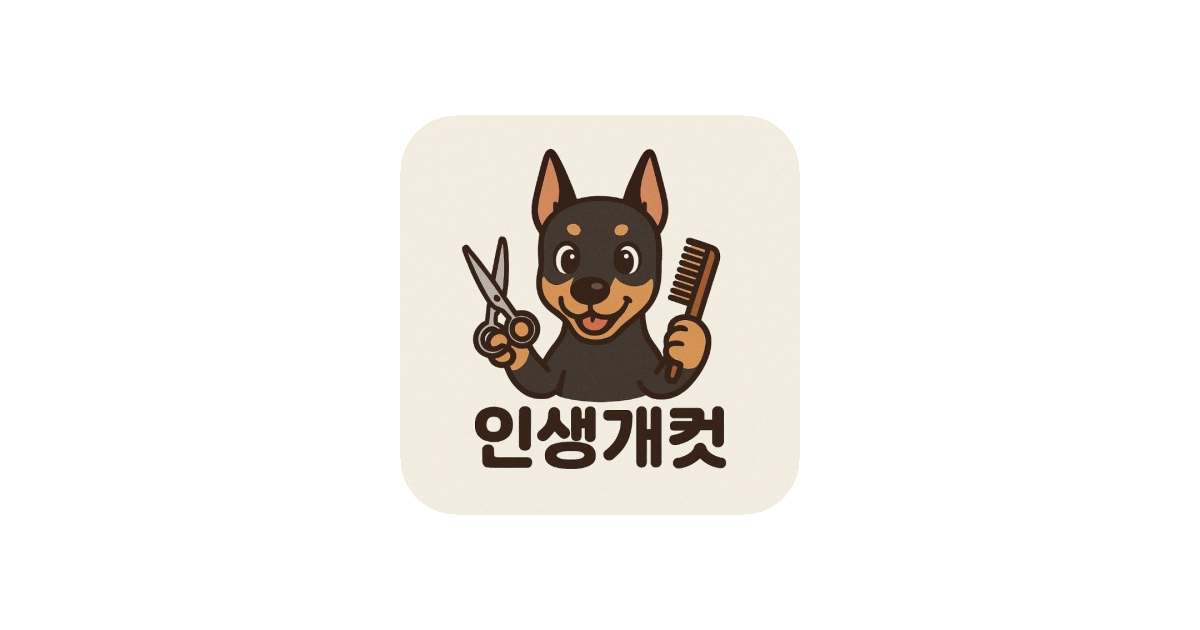 공유 카드