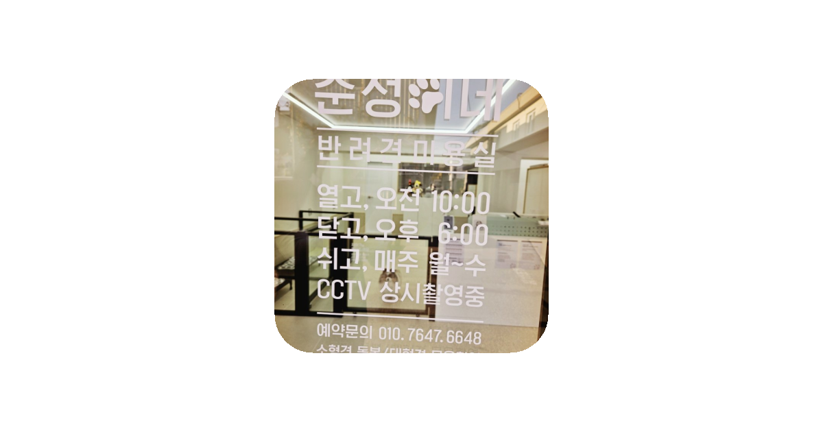 공유 카드